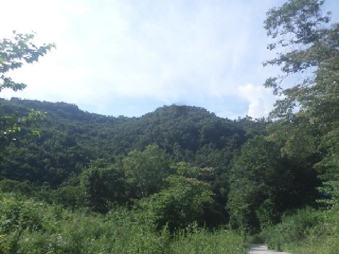 물건 사진 24