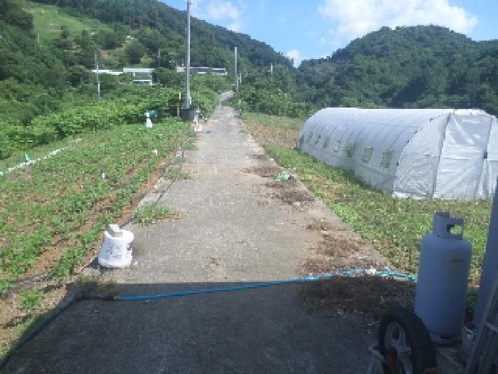 물건 사진 10