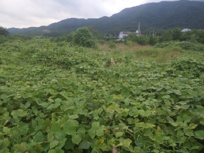 물건 사진 14