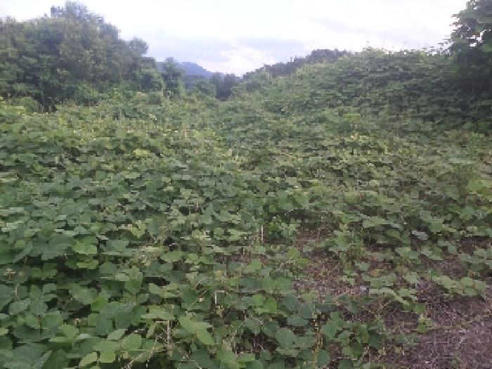 물건 사진 25