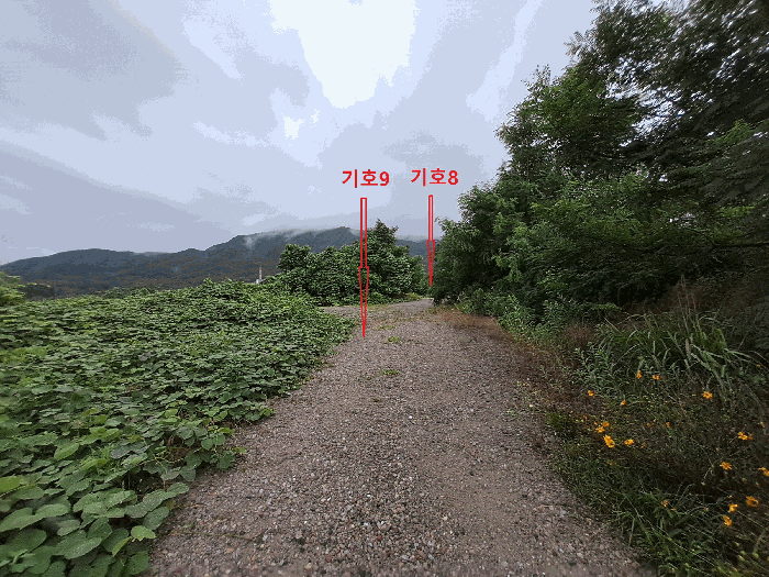 물건 사진 42