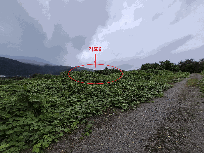 물건 사진 45