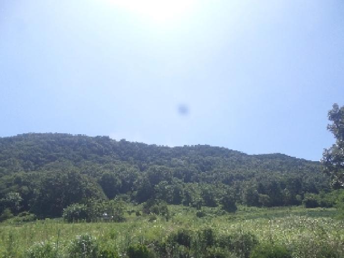 물건 사진 14