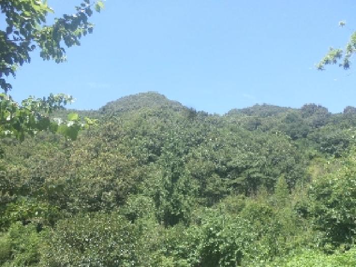 물건 사진 18