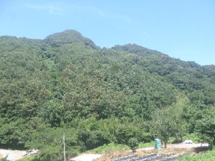 물건 사진 19