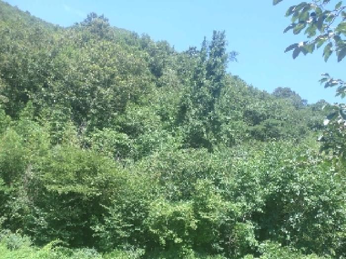 물건 사진 20