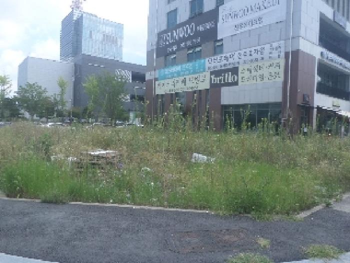 물건 사진 21