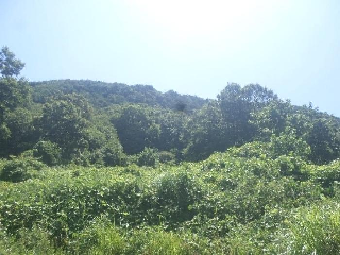 물건 사진 23