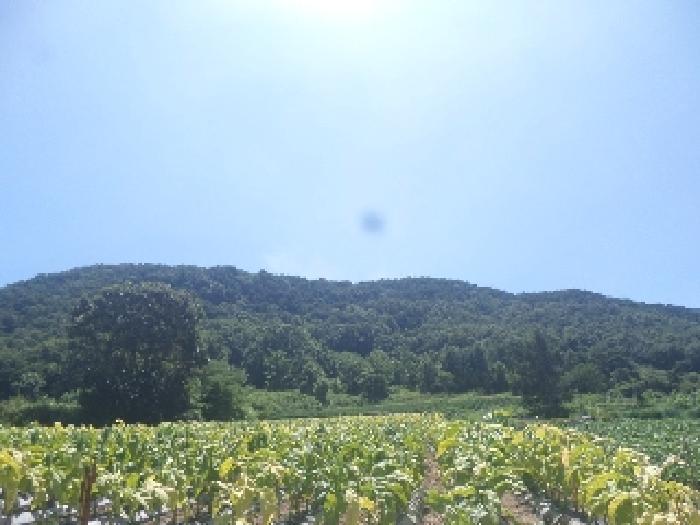물건 사진 25