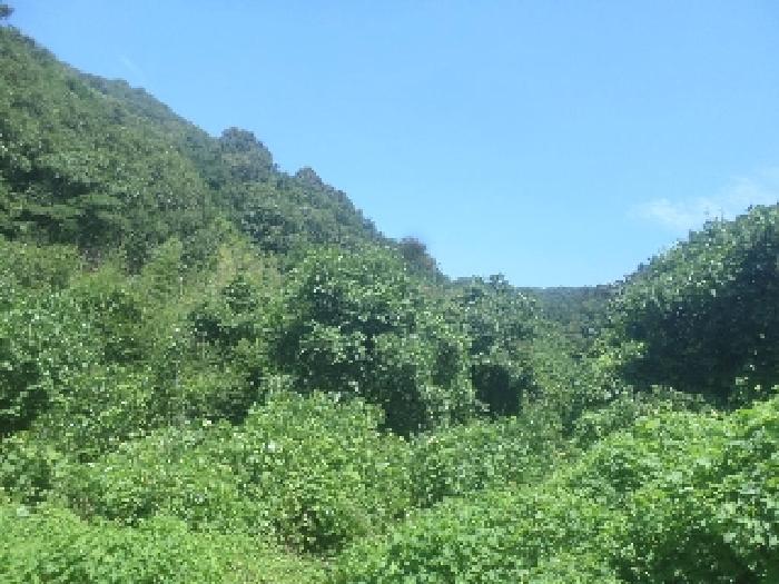 물건 사진 29