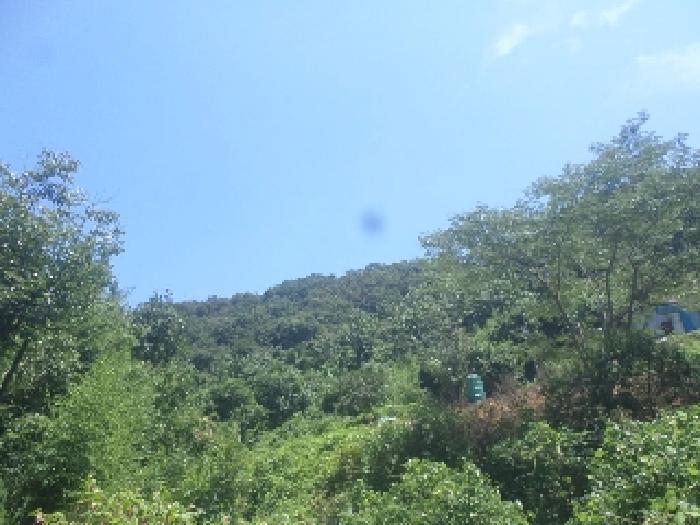 물건 사진 30
