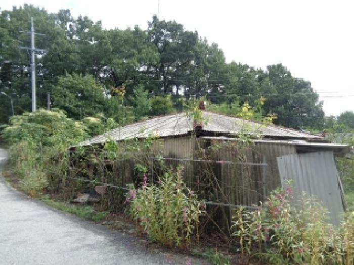물건 사진 1