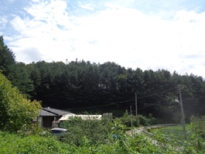 물건 사진 16