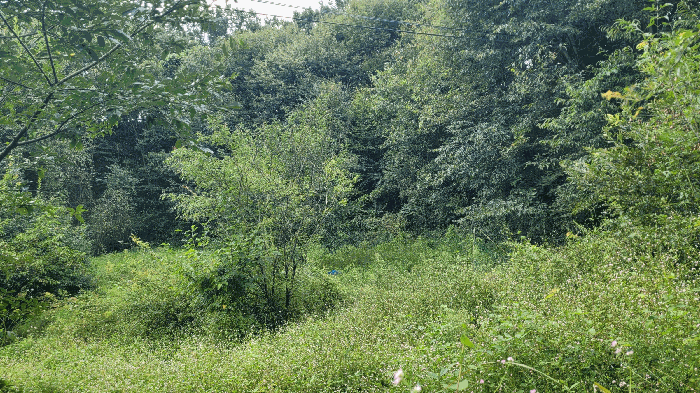 물건 사진 25
