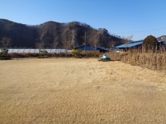 물건 사진 15
