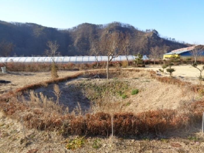 물건 사진 16