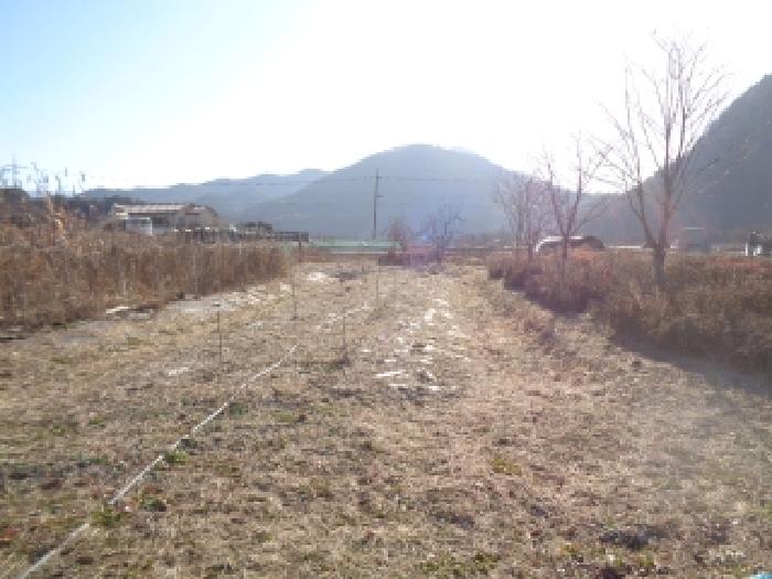 물건 사진 39