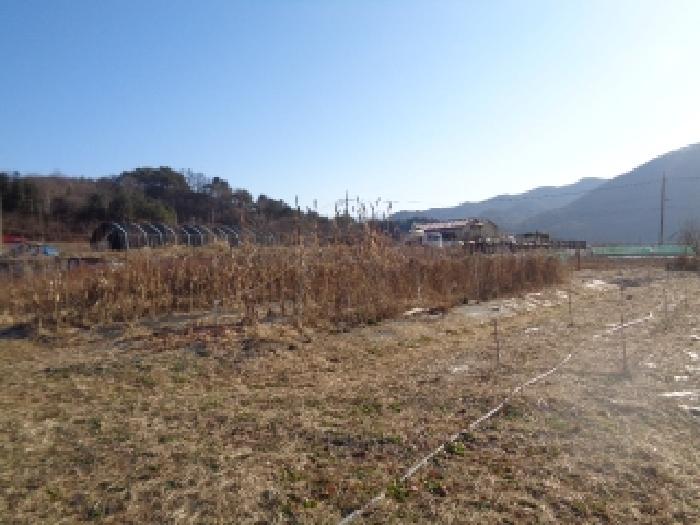 물건 사진 40