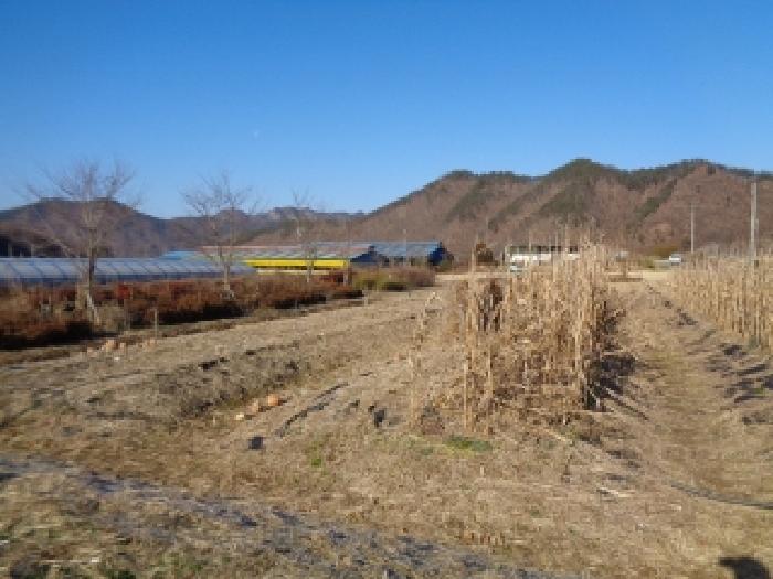 물건 사진 41