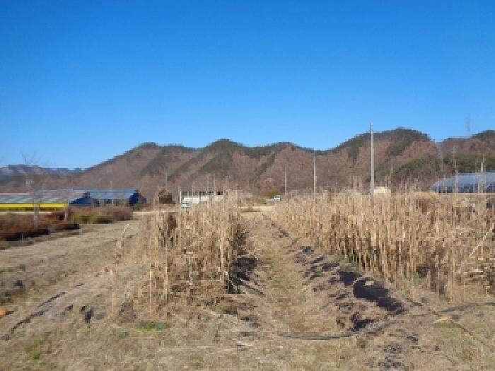 물건 사진 42