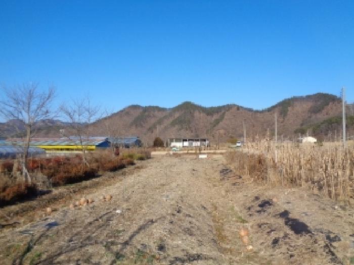 물건 사진 43