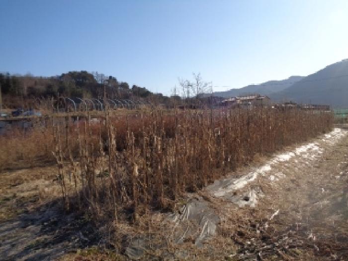물건 사진 45