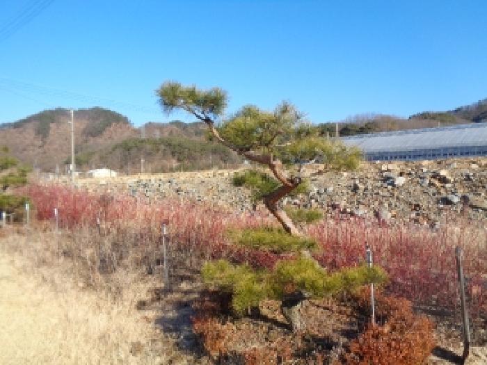 물건 사진 48