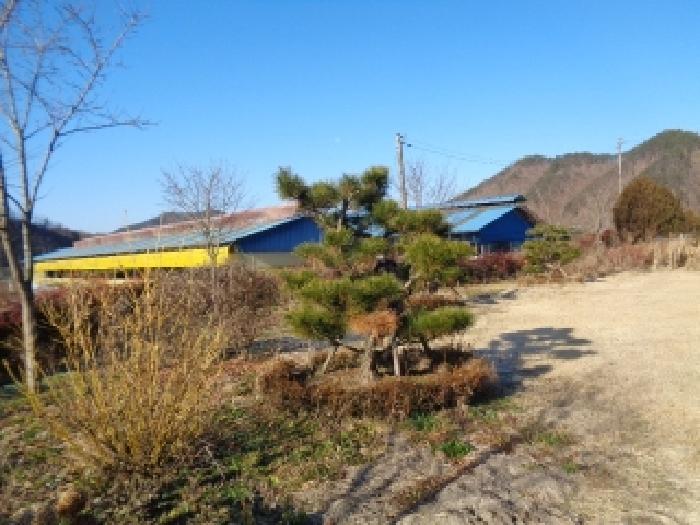 물건 사진 50