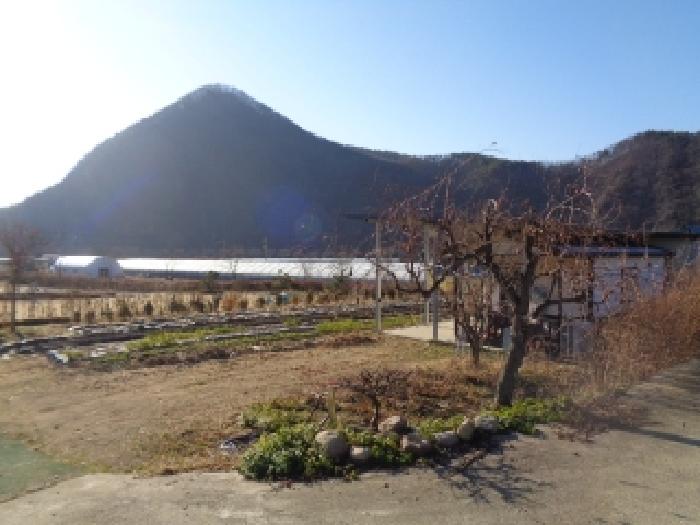 물건 사진 9