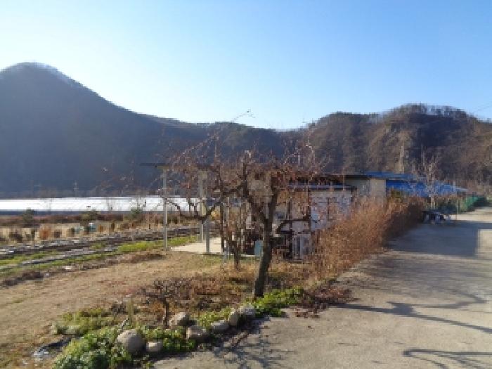 물건 사진 10