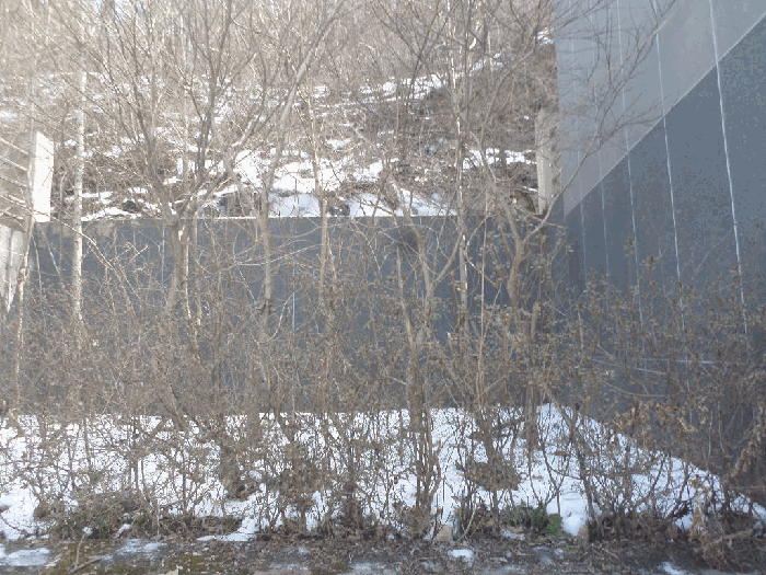 물건 사진 39