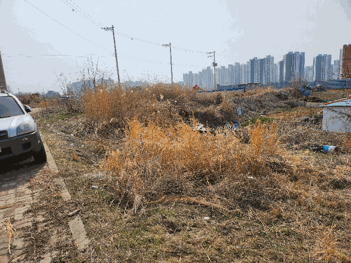 물건 사진 113