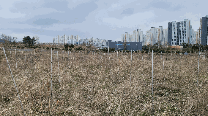 물건 사진 115