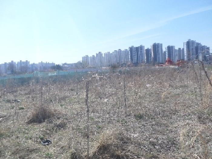 물건 사진 16
