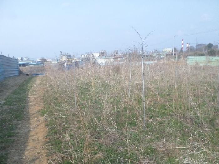 물건 사진 51