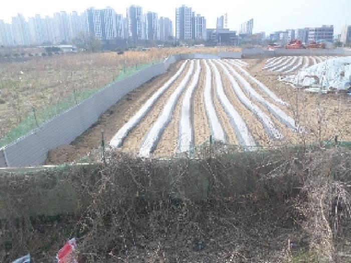 물건 사진 59