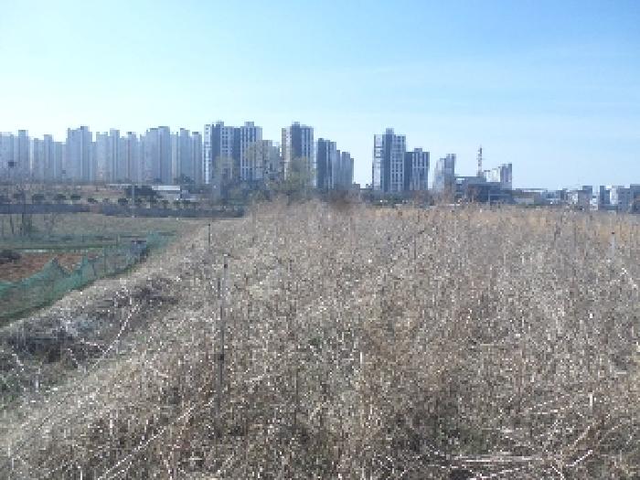 물건 사진 62