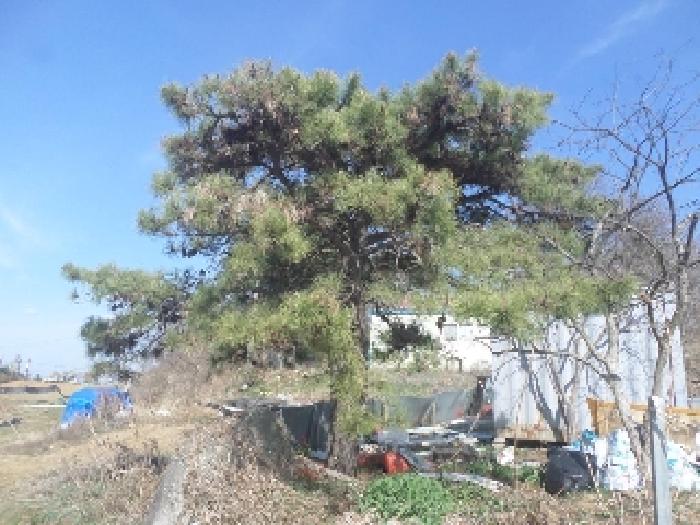 물건 사진 66