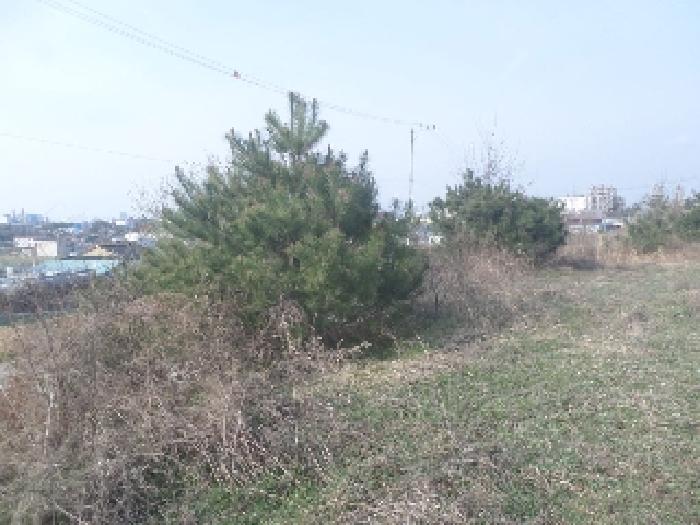 물건 사진 70