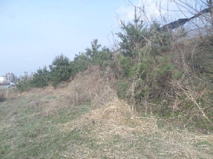 물건 사진 71
