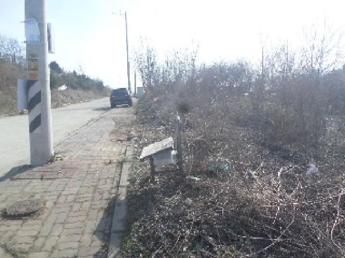물건 사진 81