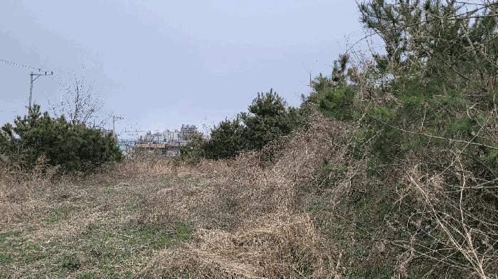 물건 사진 92