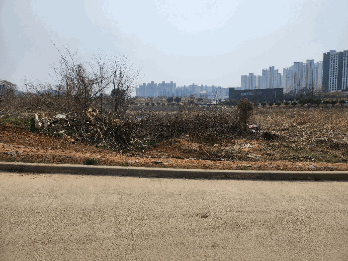 물건 사진 96