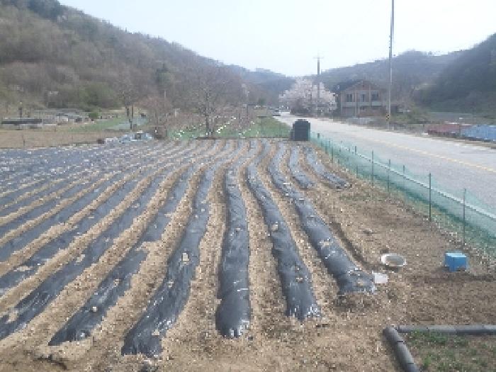물건 사진 7