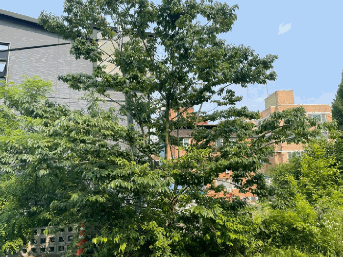 물건 사진 55