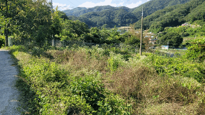 물건 사진 39