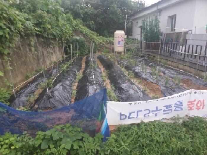 물건 사진 5