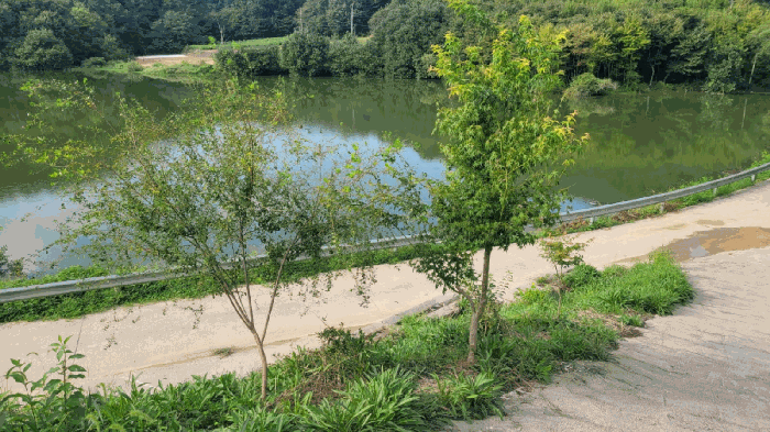물건 사진 57