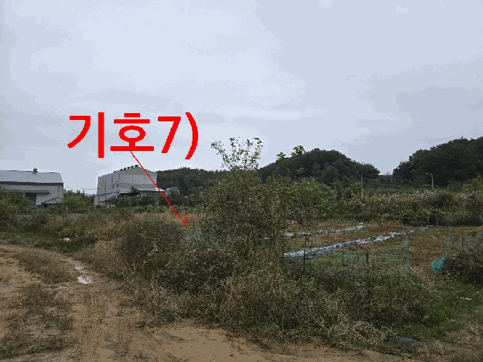 물건 사진 22