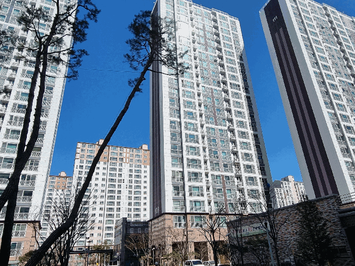 물건 사진 11